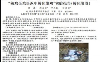 爸，你的故事再不讲，就真的没人记得了——我花7999块用AI给老爸写回忆录，结果……