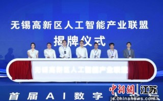 在湖南做AI数字人代理这两年，我见过的坑比走过的路还多