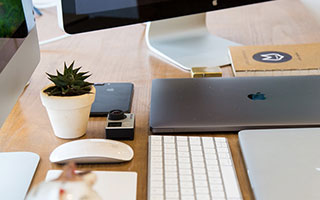 不上班第3年，靠“养虾”月入5万：这届年轻人正在偷偷闷声发大财